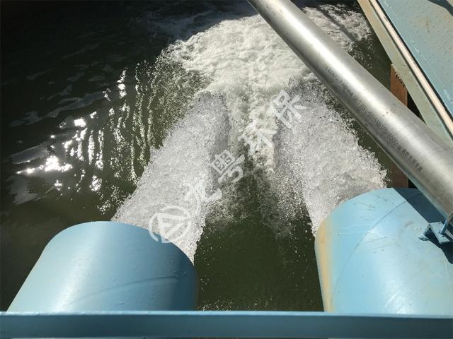 污水處理廠的污泥應(yīng)怎么處理？